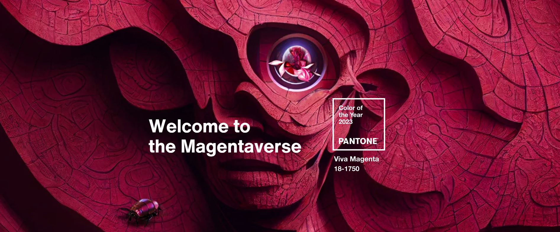 Basford Brands Pantone's Colour of the Year 2023